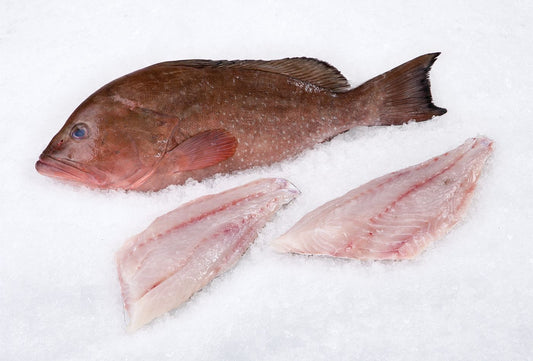 Whole Grouper Sold by the Pound